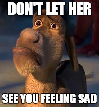 donkey from shrek ex girlfriend meme