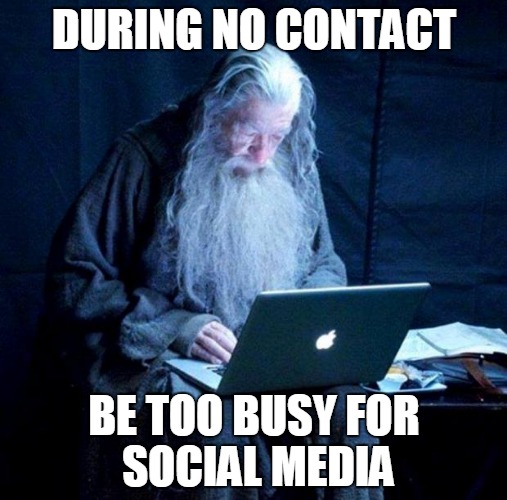 during no contact be too busy for social media